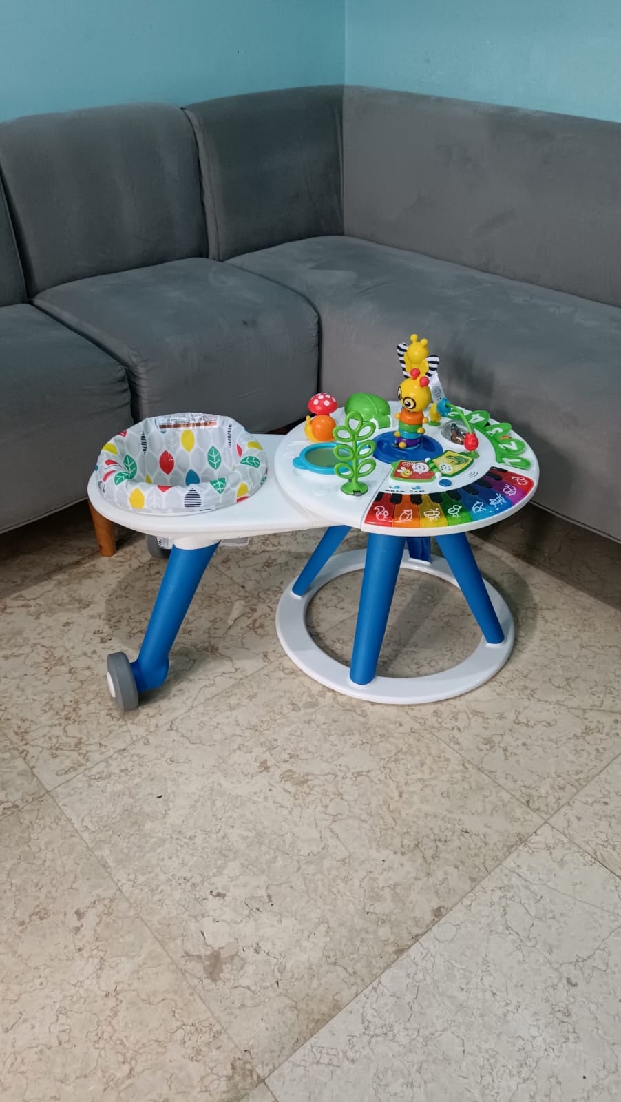 BABY EINSTEIN AROUND WE GO